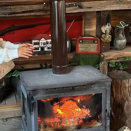 Efes 别墅 开塞利