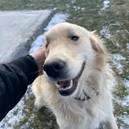 别墅 Efes 开塞利