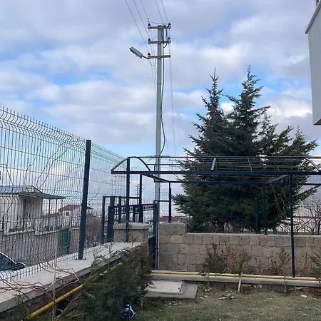 Efes فيلة قيصرية