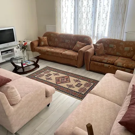 Efes فيلة قيصرية